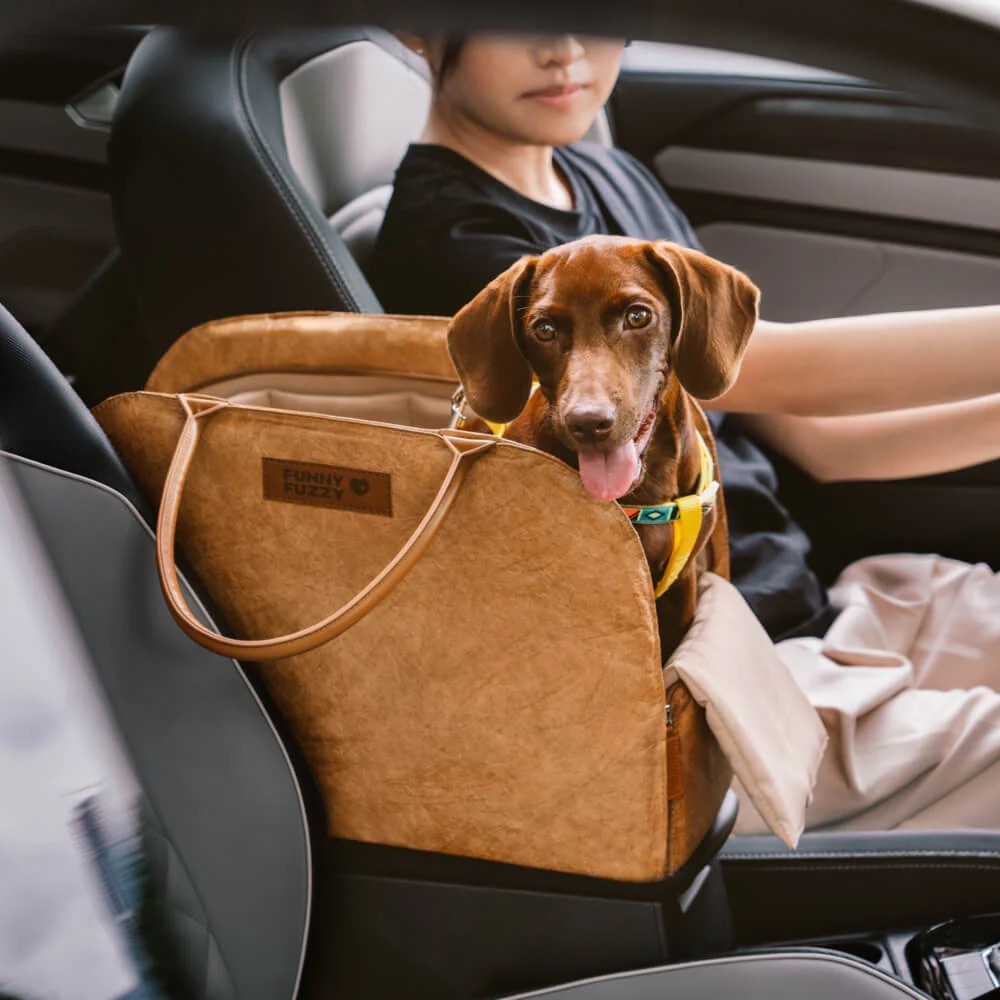 Small Dog Carrier